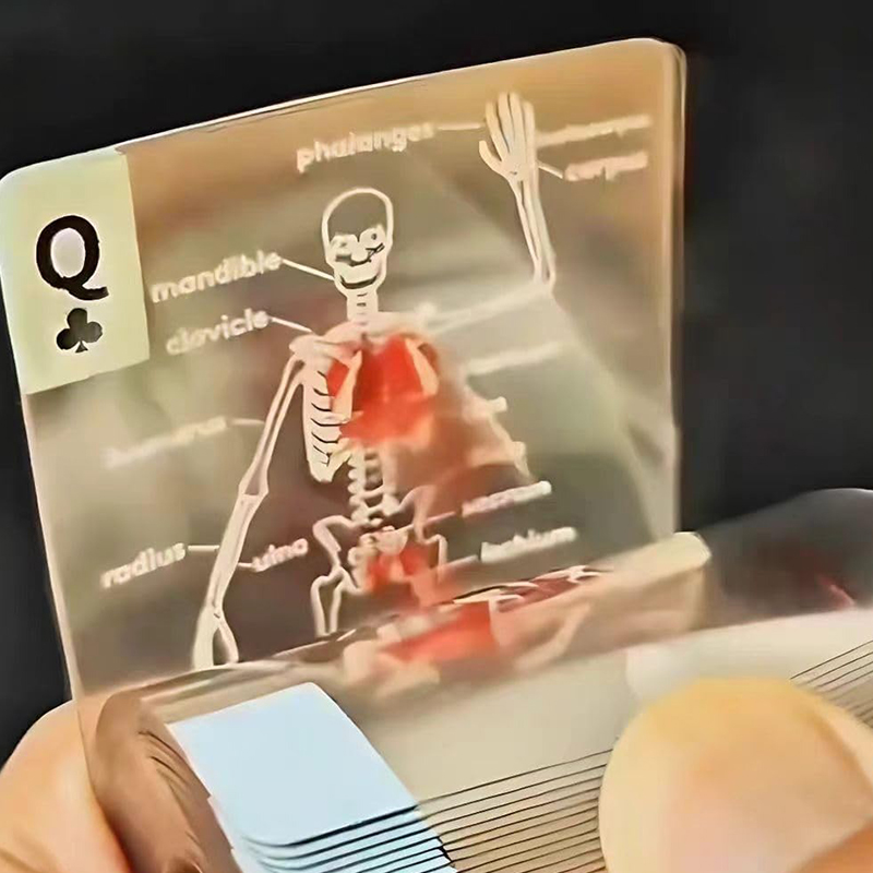 The Body Deck Transparent Anatomy Playing Cards