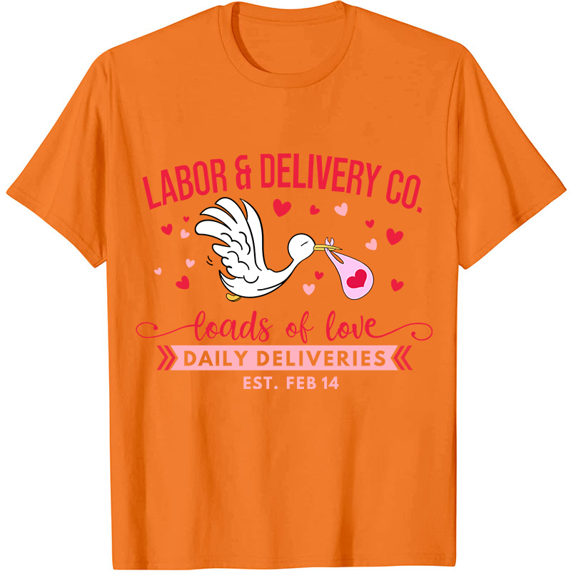 Labor And Delivery Co Nurse T-Shirt