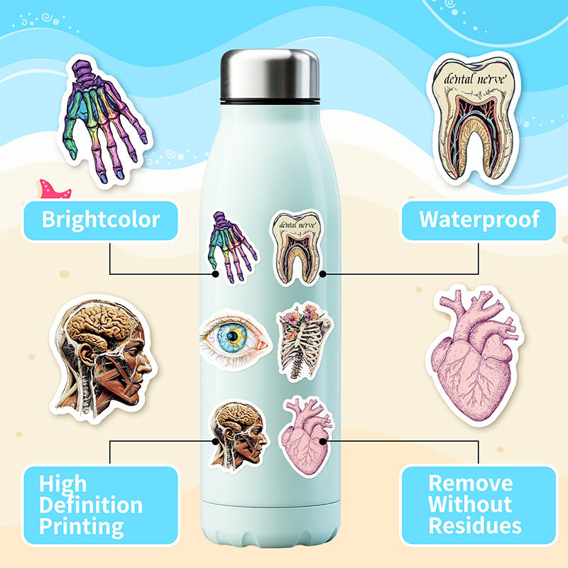 50PCS Realistic Organ Nurse Stickers