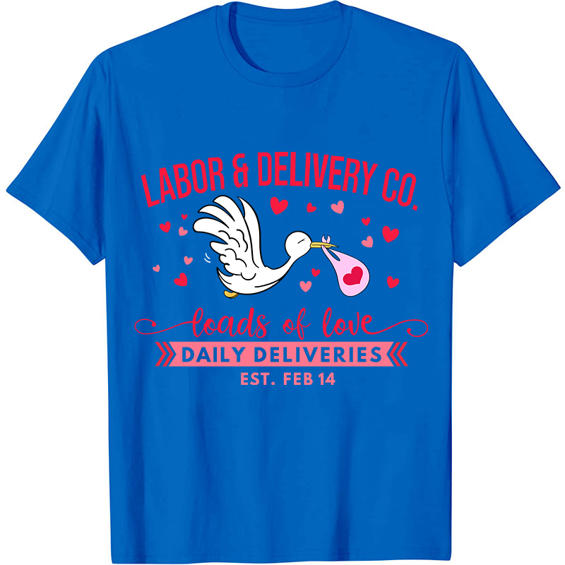 Labor And Delivery Co Nurse T-Shirt