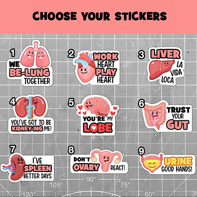 Anatomy Puns Nurse Stickers