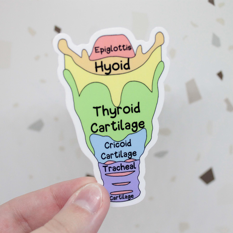 Phonological Processes Nurse Stickers