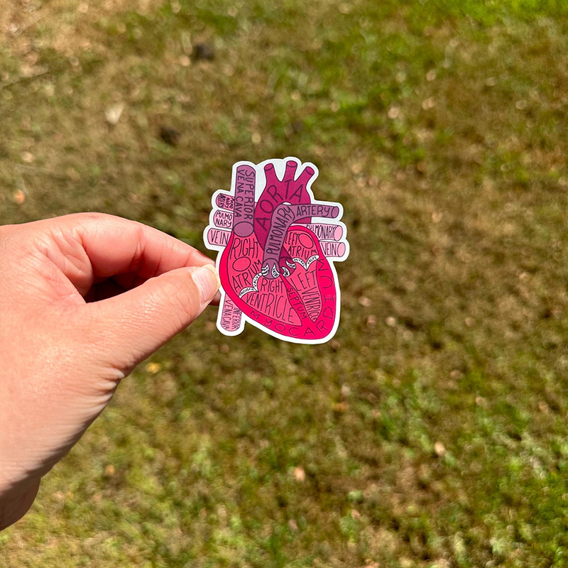 Organ Anatomy Nurse Stickers