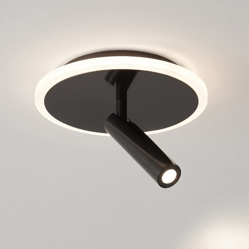 Black Flush Mount LED Ceiling Light Fixture