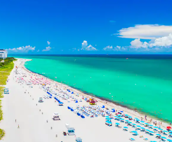 Fast and Furious in the Sun: The New Trend in Florida Electric Surfboard Rentals