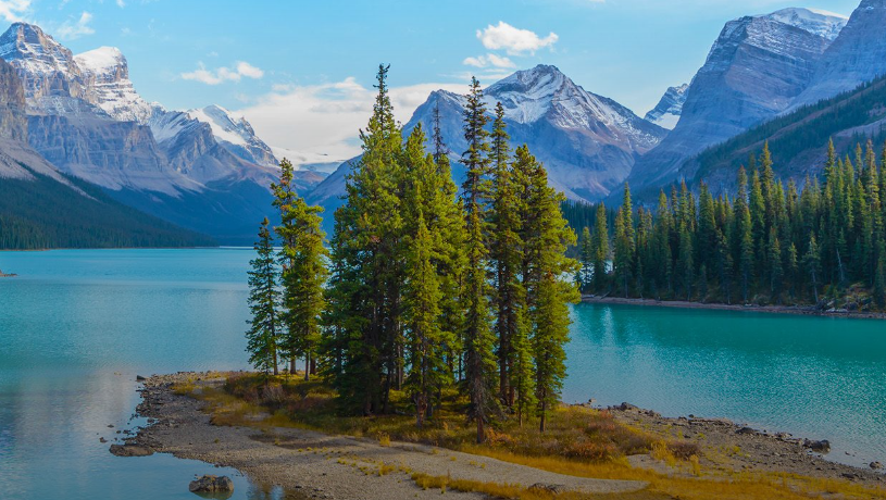Surfing Meets Technology: Discovering Electric Surfboards in Canada