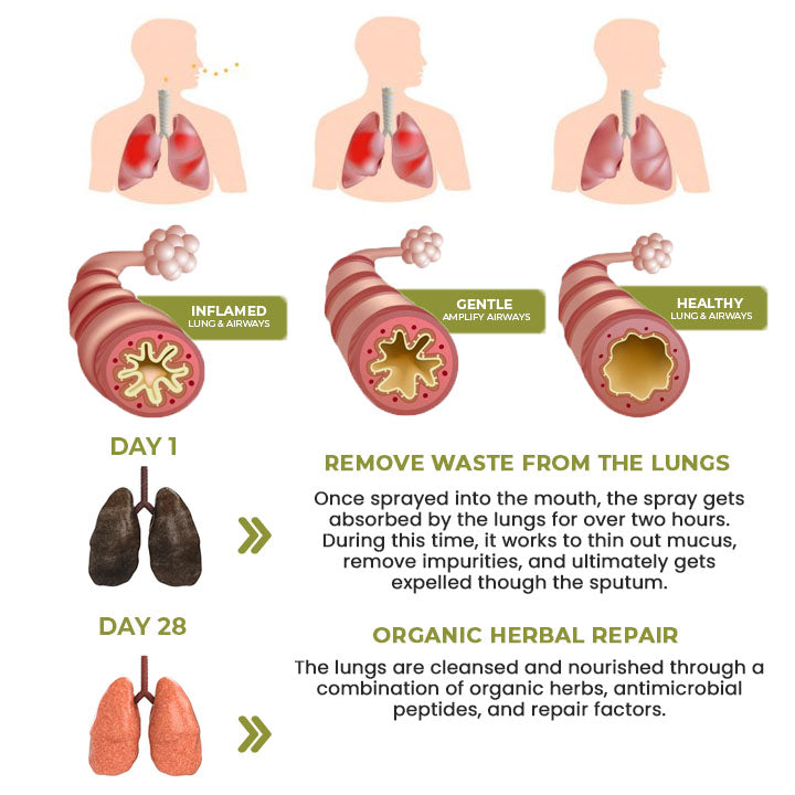 BreatheWell Natural Herbal Spray for Lung and Respiratory Support