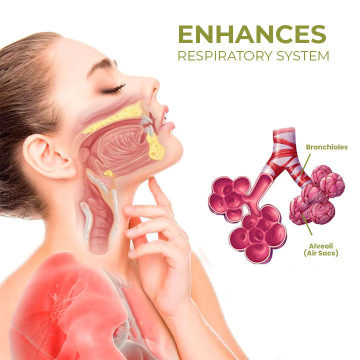 BreatheWell Natural Herbal Spray for Lung and Respiratory Support