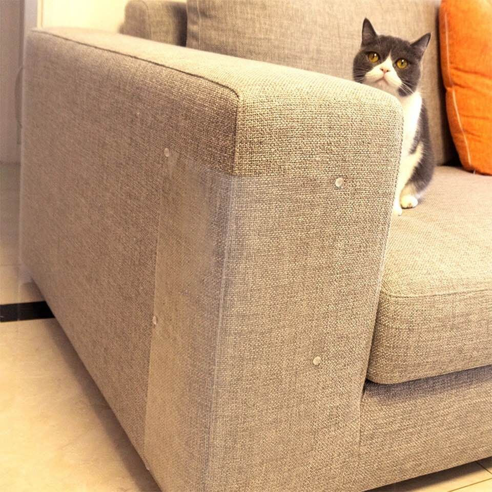 FelineShield™ - Protect Your Furniture From Cat Scratching
