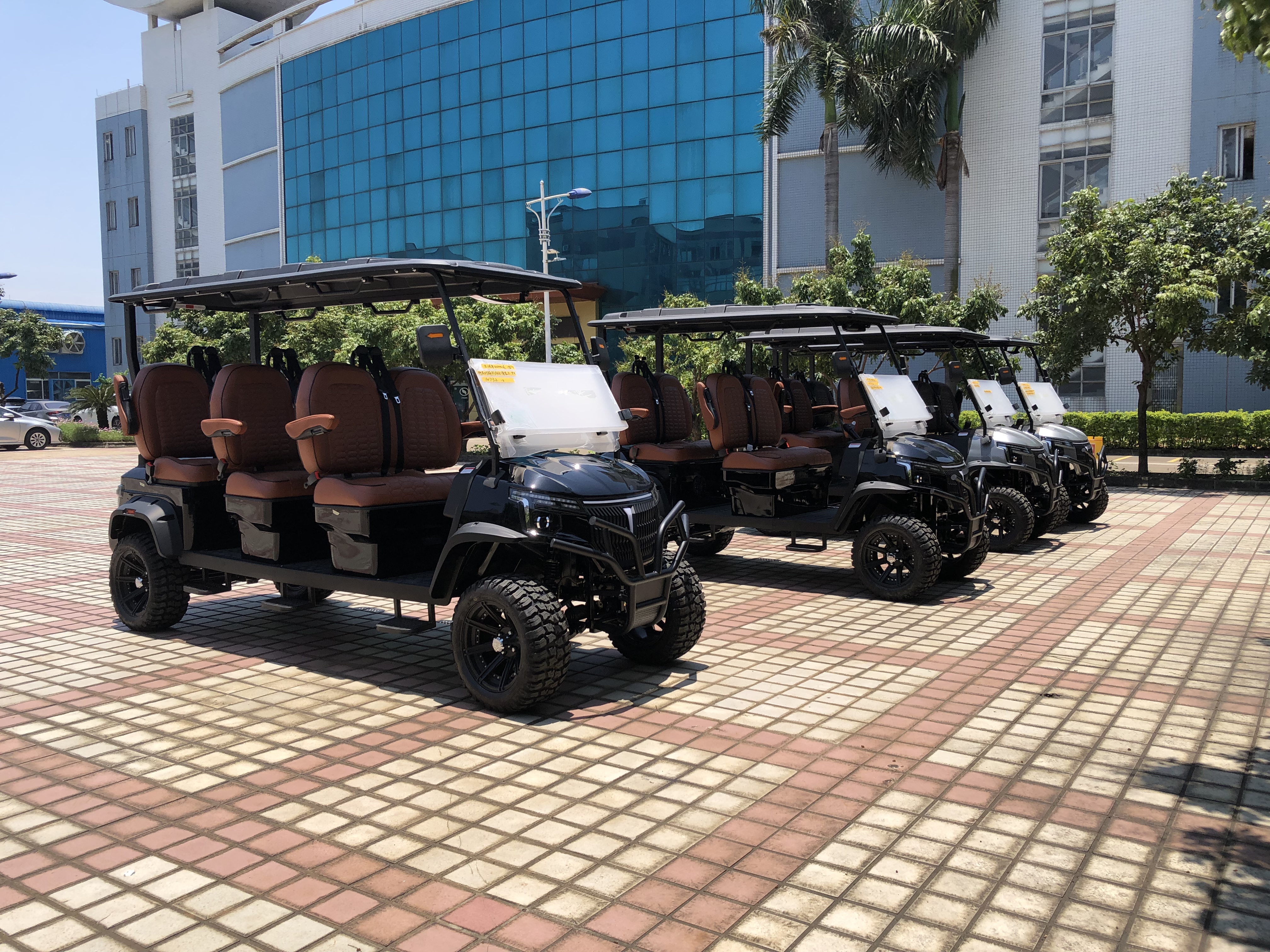 Factory New Model Luxury Seat Smart  6 Seater  Face Forward 48V Lithium Battery Golf Cart 