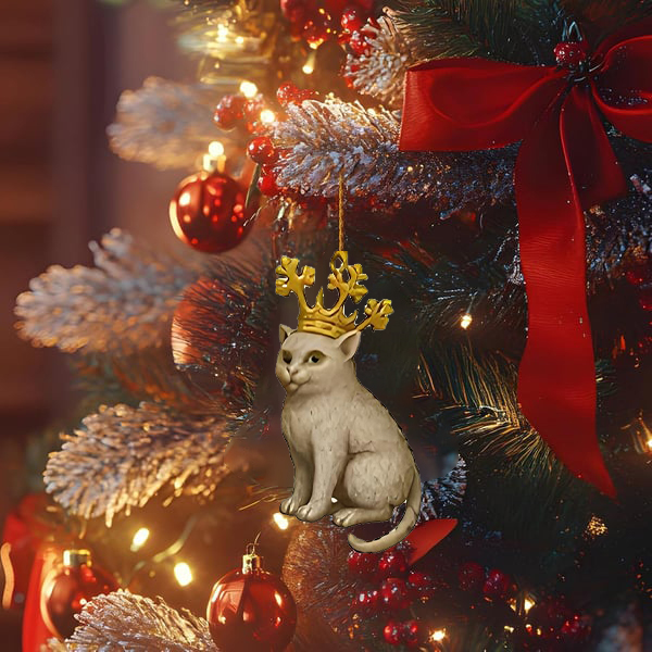 🌲Christmas Gift 50% Off--✨Medieval Cat Advent Calendar 2025