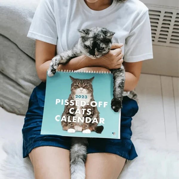 😾2023 Pissed-Off Cats Calendar