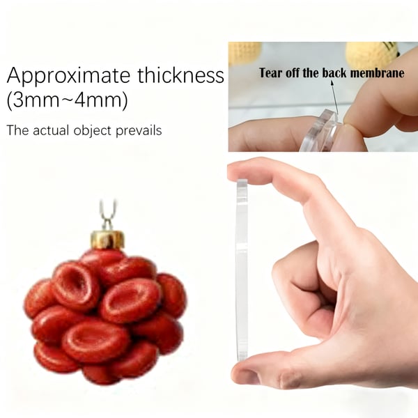 🔥Hot Sale Promotion 49% OFF🧬🫀2025 Anatomy Advent Calendar