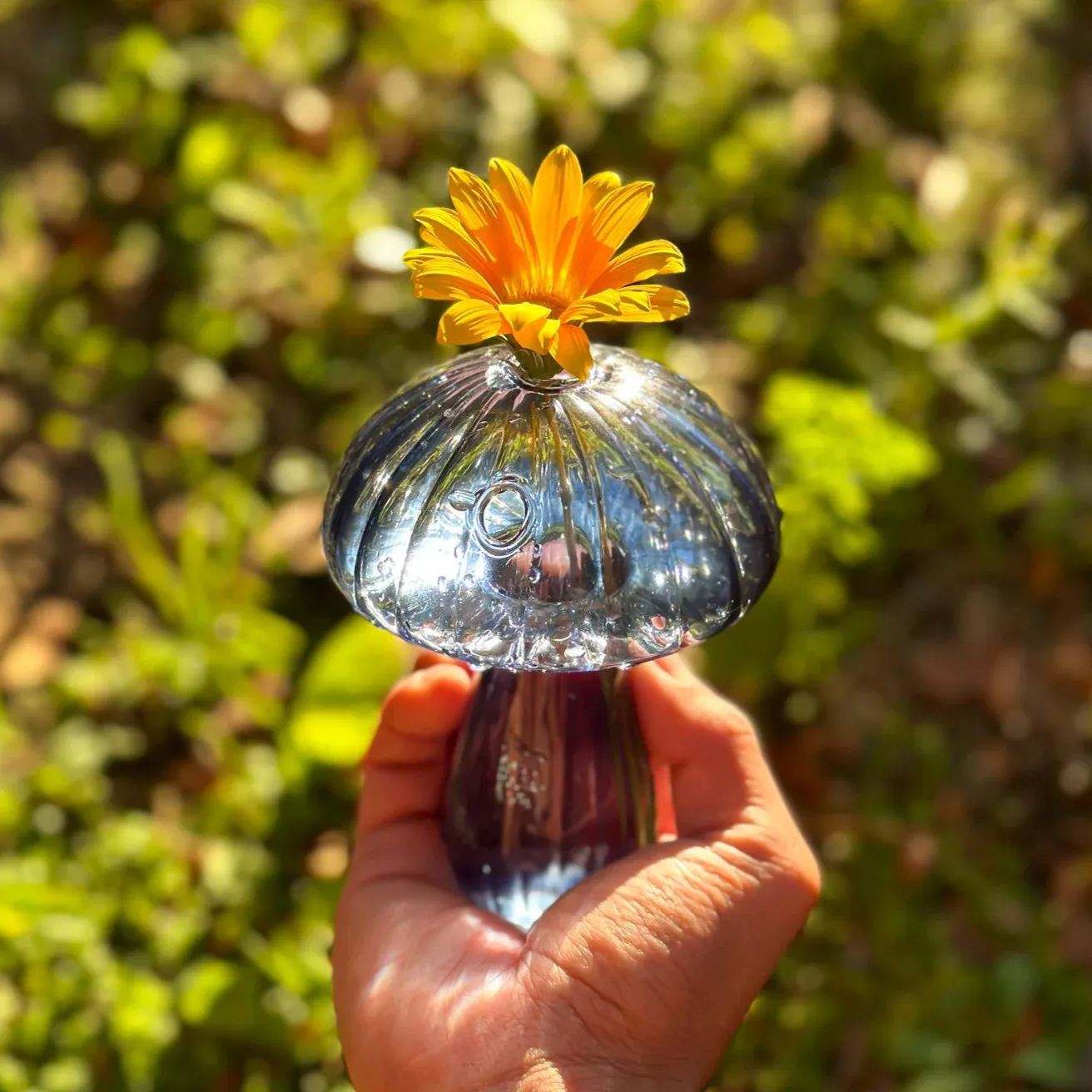 💝Plant Lover Gift--Glass Mushroom Vase🍄