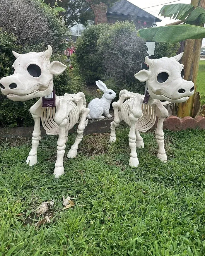 🐂🐎Cow & Horse Skeleton Halloween Decorative Prop🎃