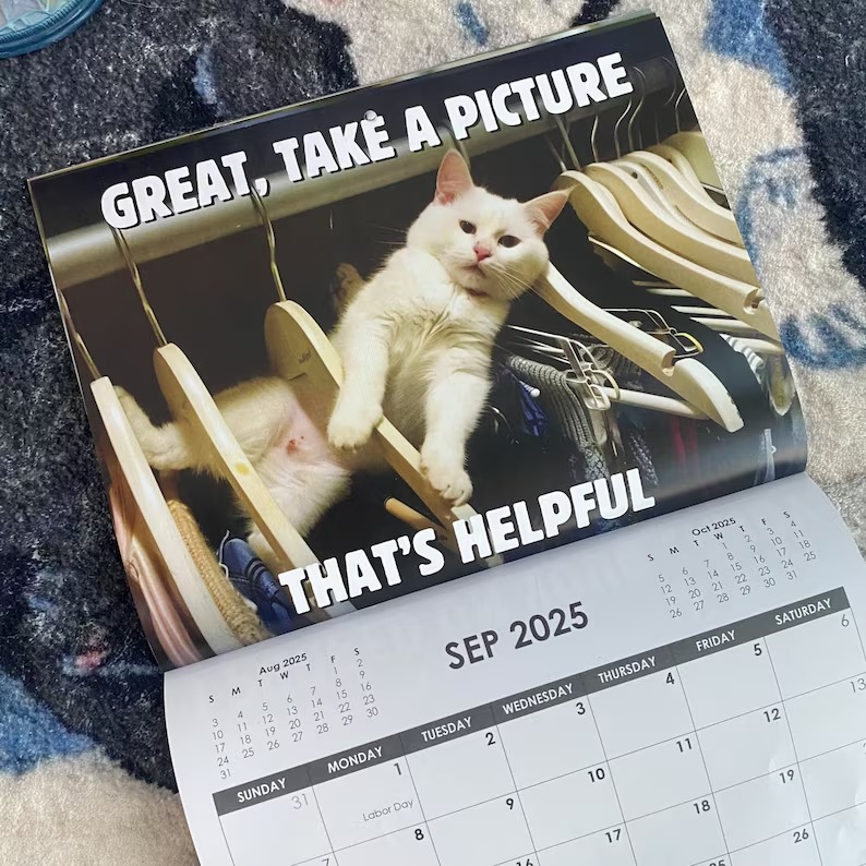 😾2025 Peed-Off Cats Calendar