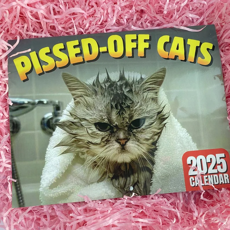 😾2025 Peed-Off Cats Calendar
