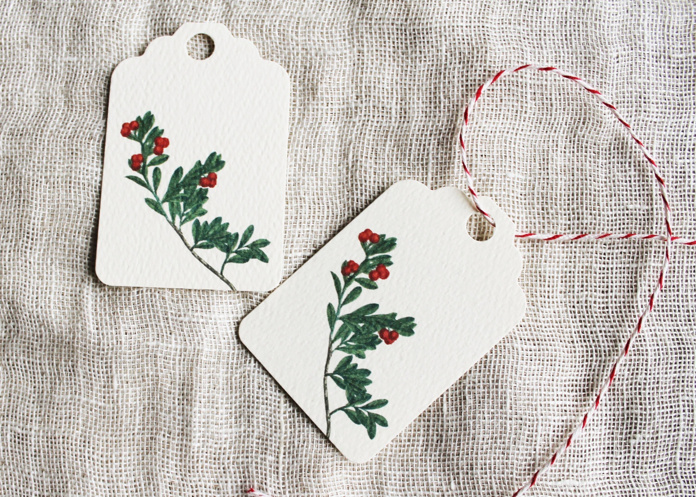 10 Pcs Holiday Gift Tags Variety Set