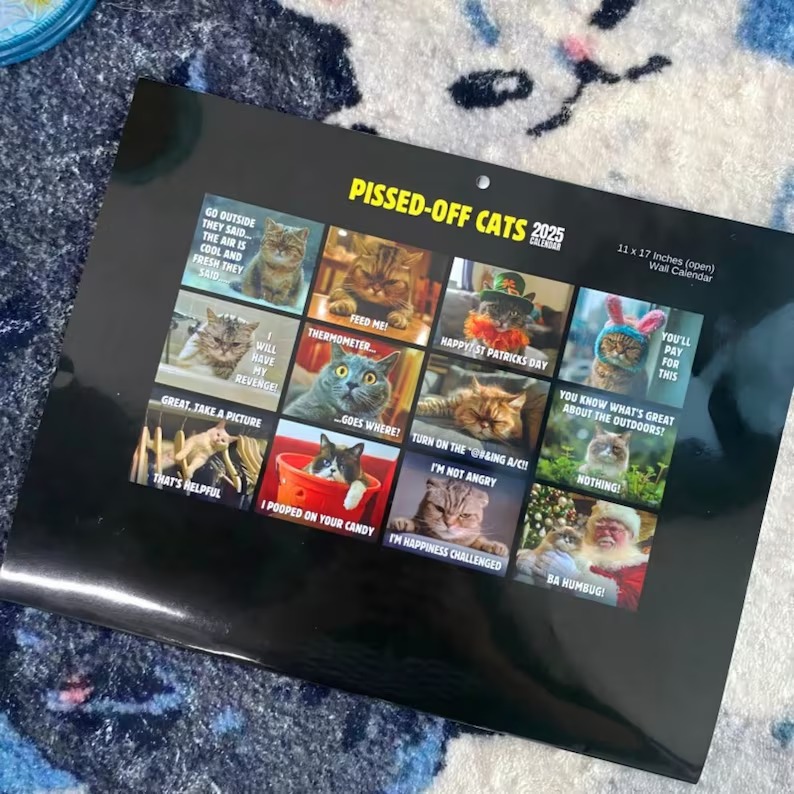 😾2025 Peed-Off Cats Calendar