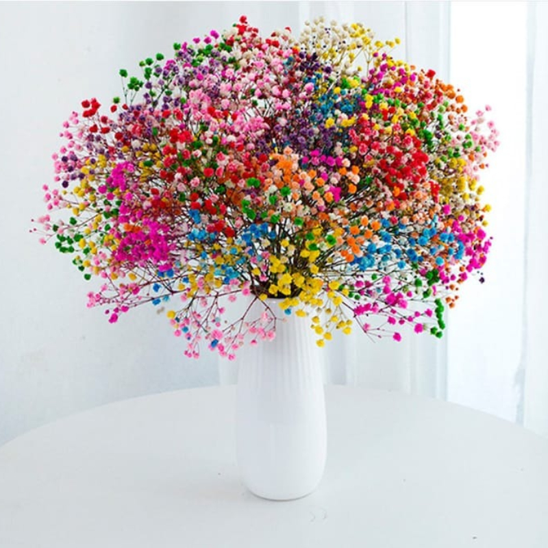 ✨Spring Hot Sale💥 Gypsophila Artificial Flowers💐