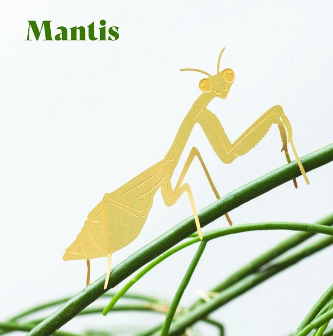 🌿🐾Plant Animal Decorations