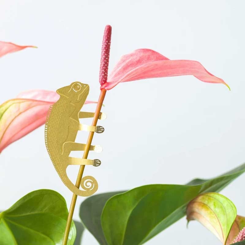 🌿🐾Plant Animal Decorations