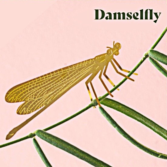 🌿🐾Plant Animal Decorations