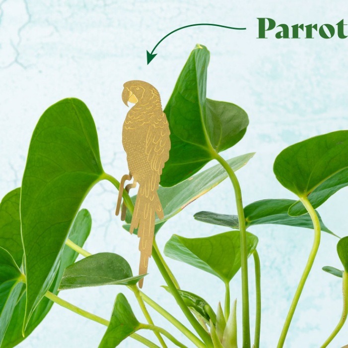 🌿🐾Plant Animal Decorations