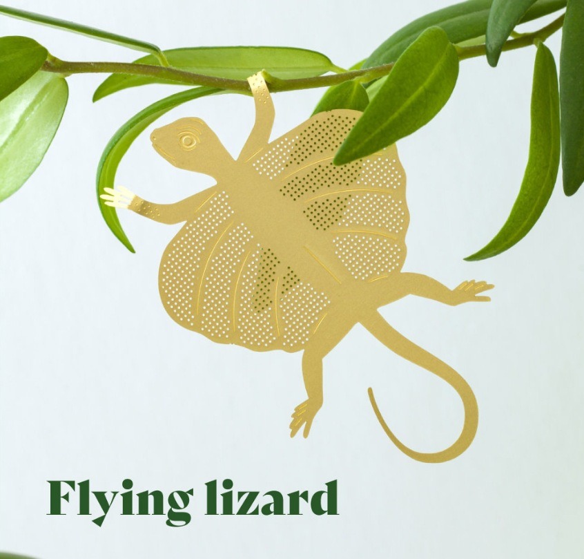 🌿🐾Plant Animal Decorations