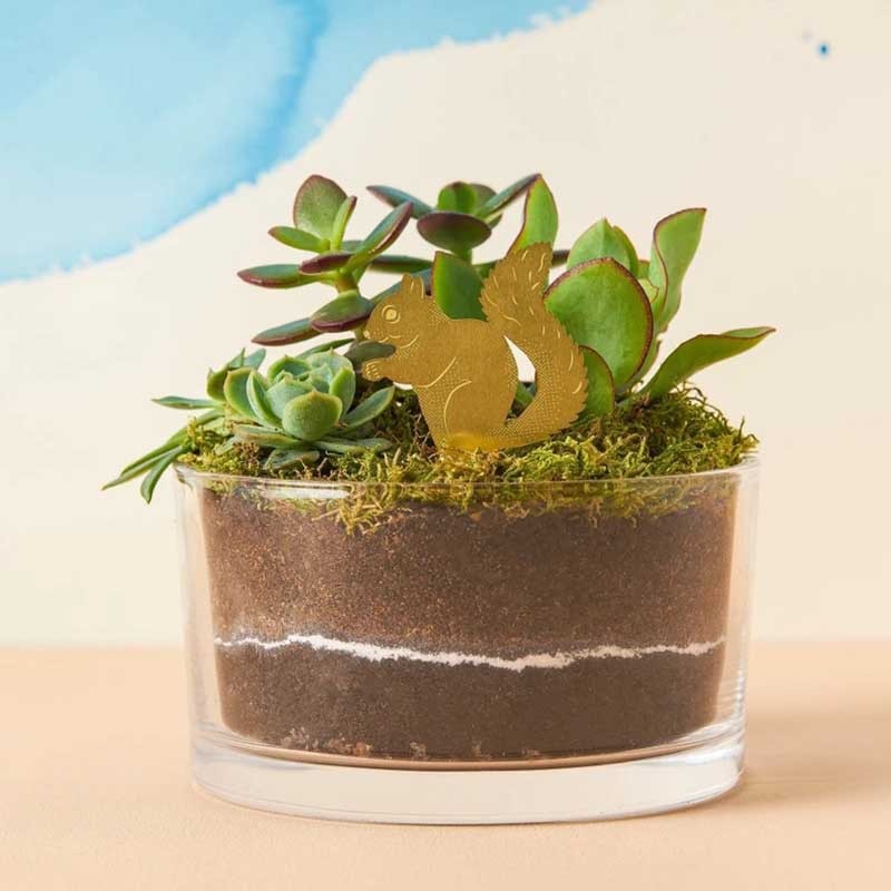 🌿🐾Plant Animal Decorations