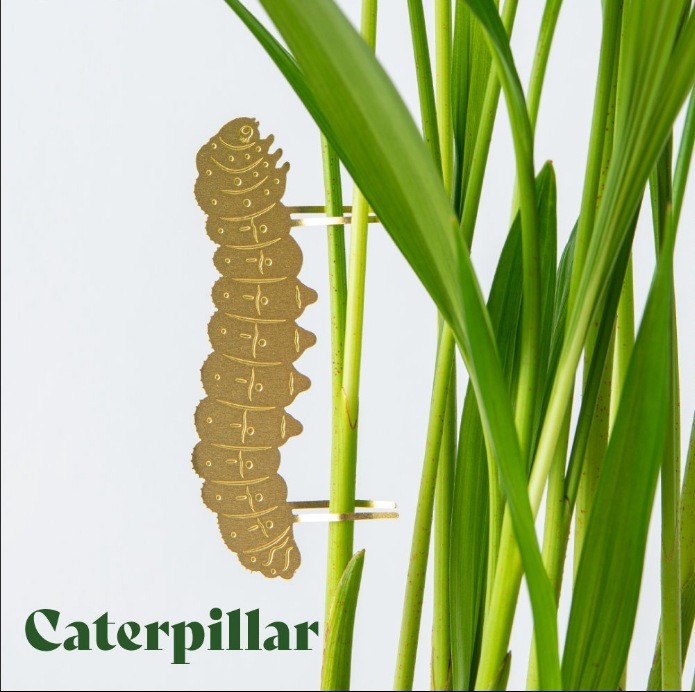 🌿🐾Plant Animal Decorations