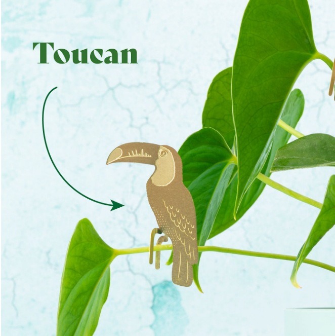 🌿🐾Plant Animal Decorations