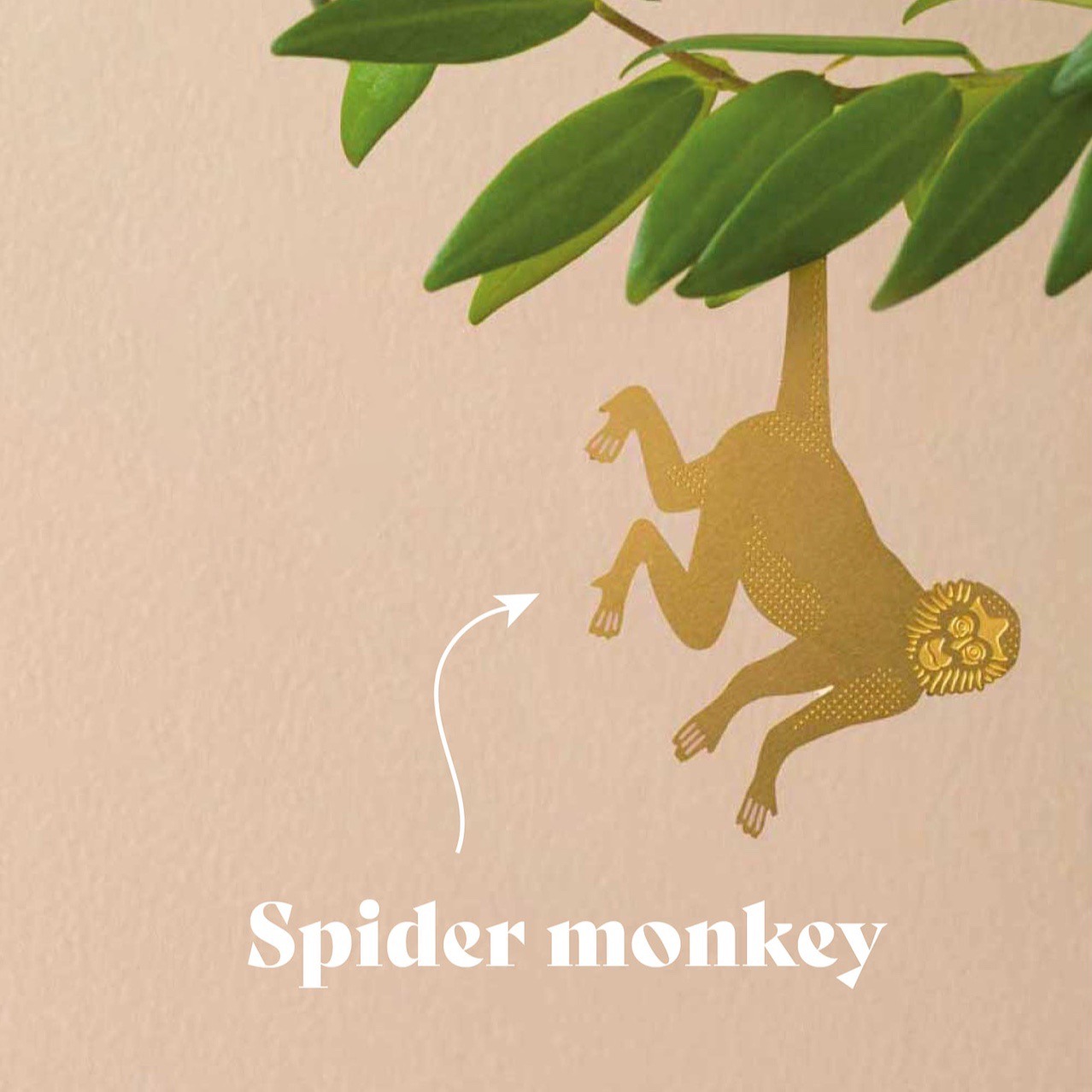 🌿🐾Plant Animal Decorations