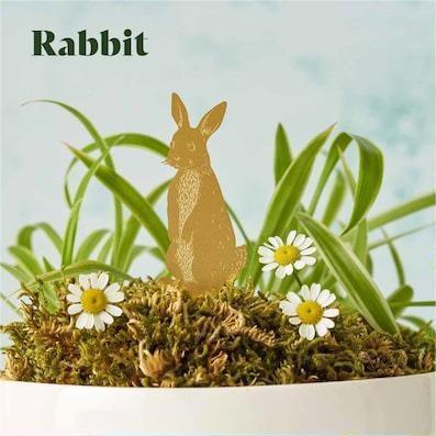 🌿🐾Plant Animal Decorations