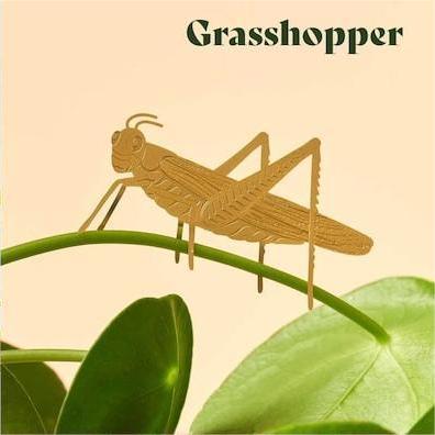 🌿🐾Plant Animal Decorations