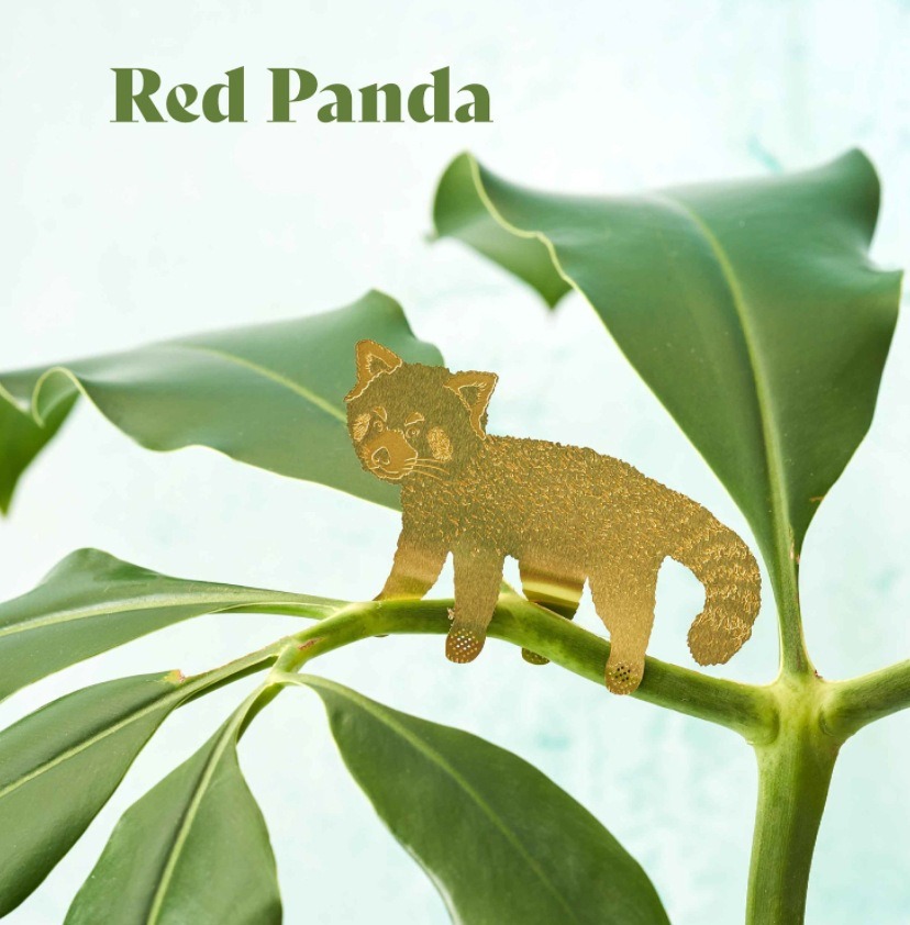 🌿🐾Plant Animal Decorations