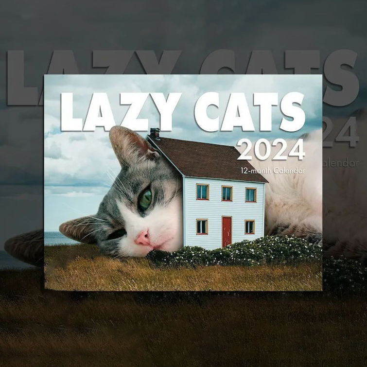 😻Lazy Cat Calendar 2024