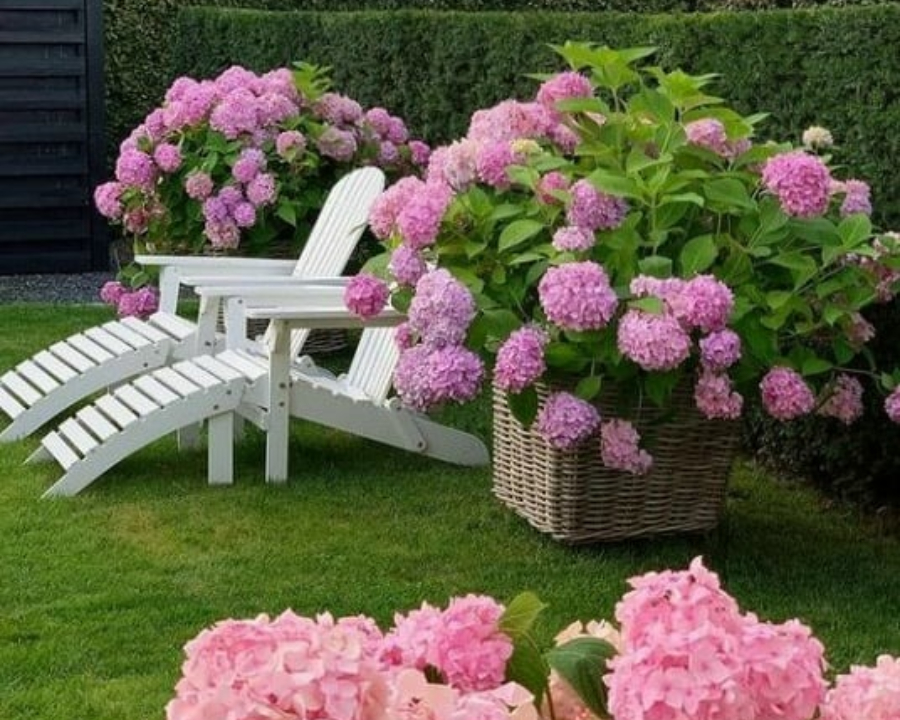 ✨Spring Hot Sale💥-Outdoor Artificial Hydrangea Flowers💐