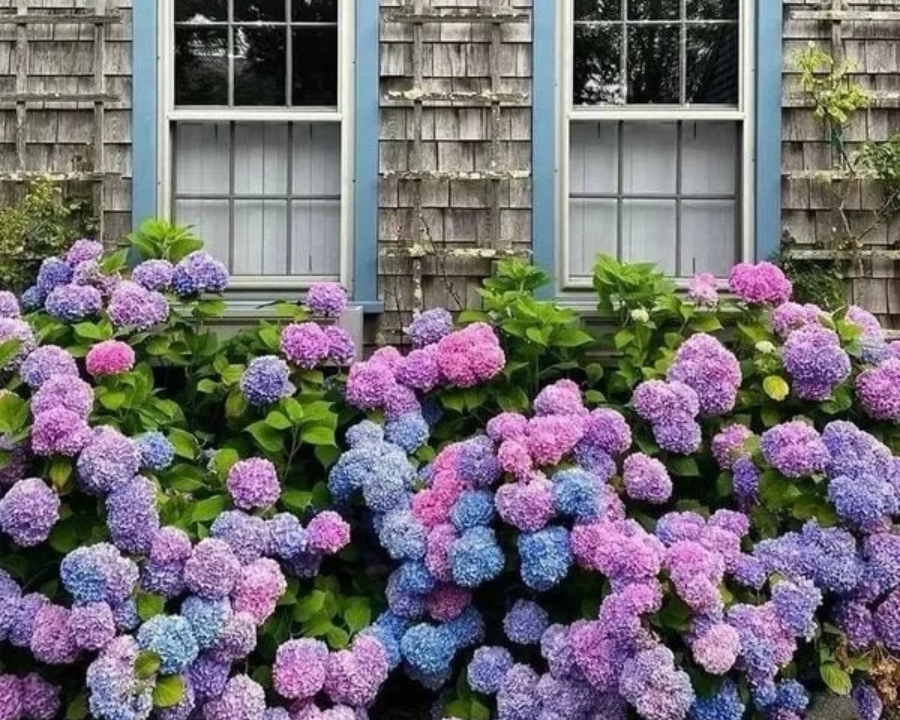 ✨Spring Hot Sale💥-Outdoor Artificial Hydrangea Flowers💐