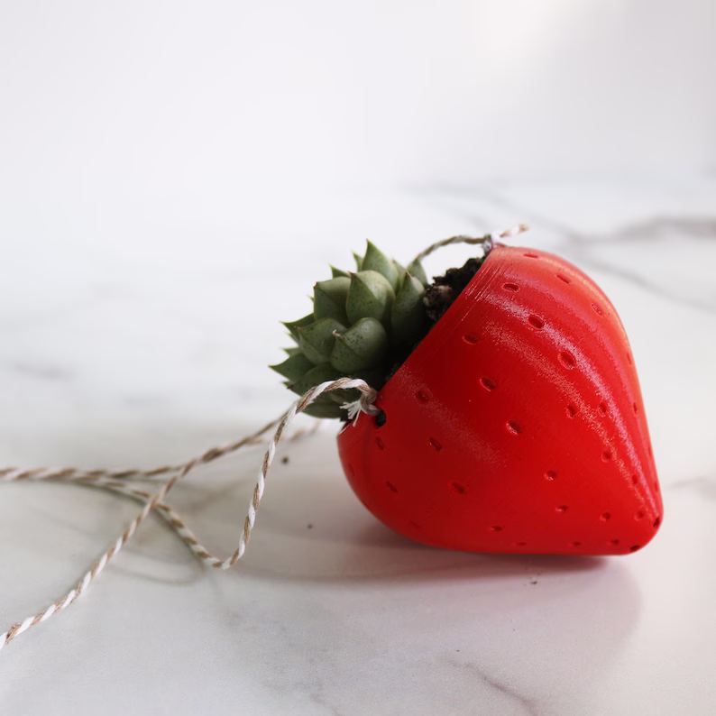 🌱Charming Strawberry Hanging Planter Pot🌱