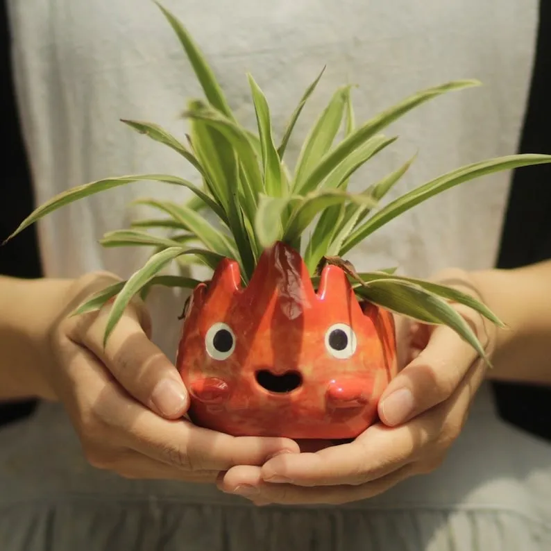 🌱HOT SALE🔥Fire Demon Plant Pot