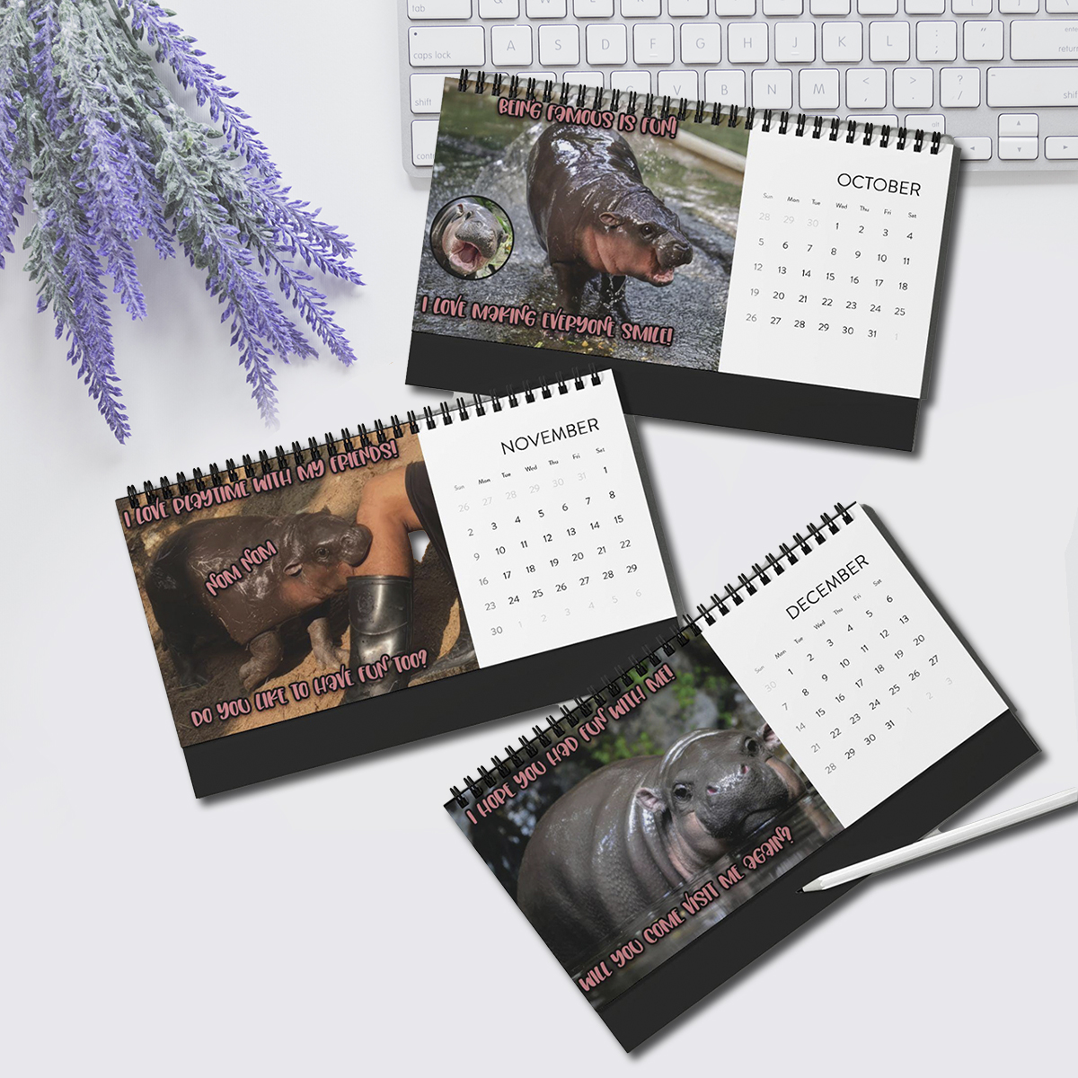 🦛Moo Deng Calendar | 2025 Desktop Calendar