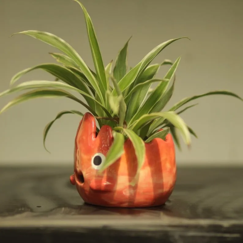 🌱HOT SALE🔥Fire Demon Plant Pot