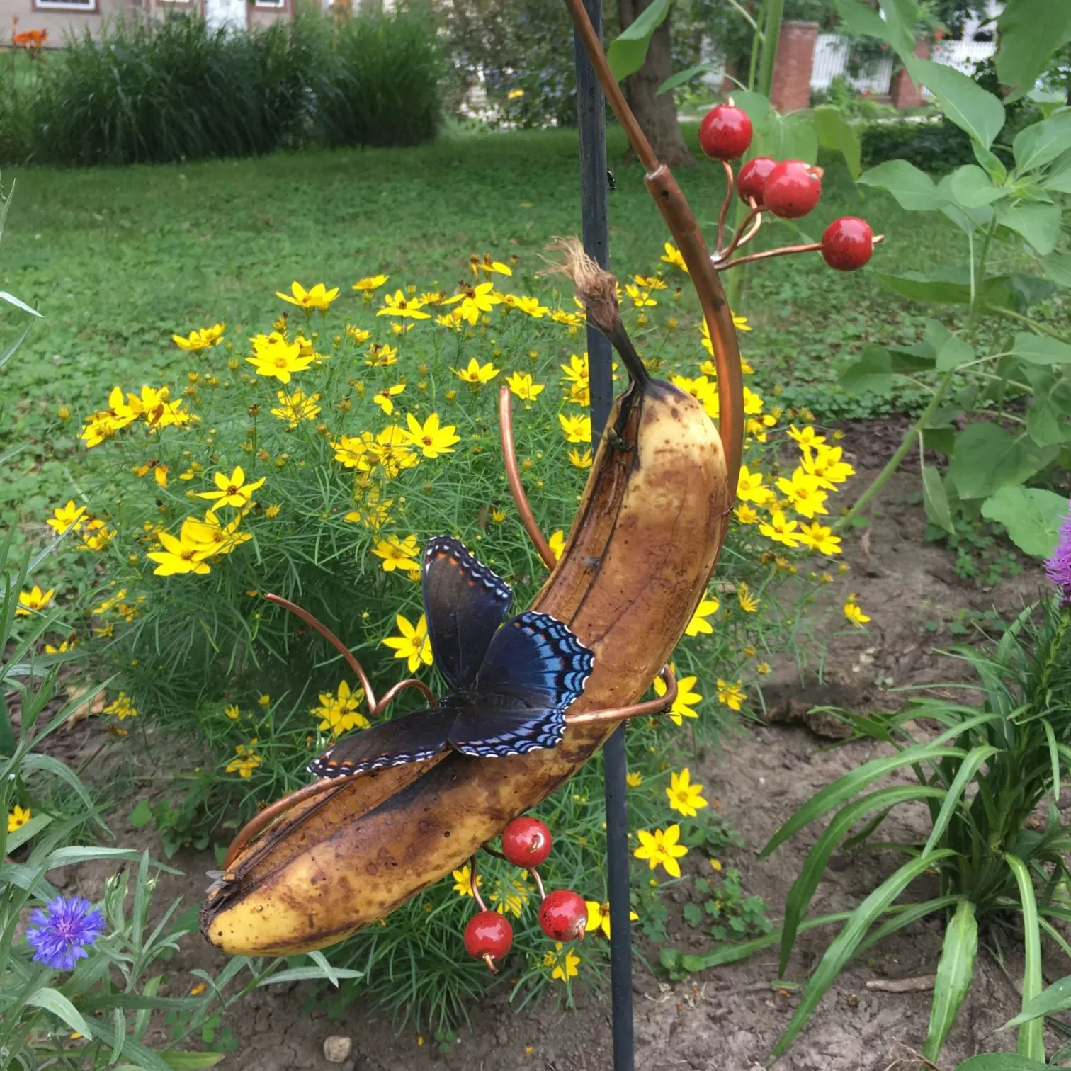 🦋Butterfly Banana Hammock-Butterfly Feeder🦋