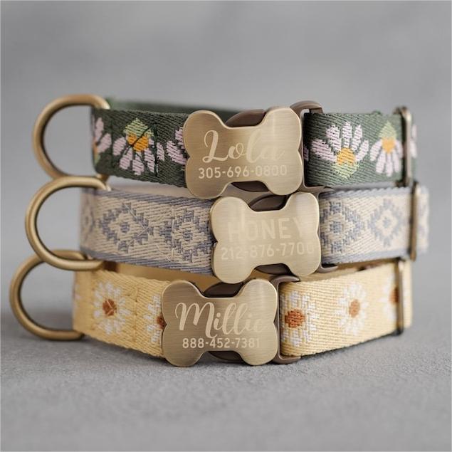 🐕Personalized Puppy Collar
