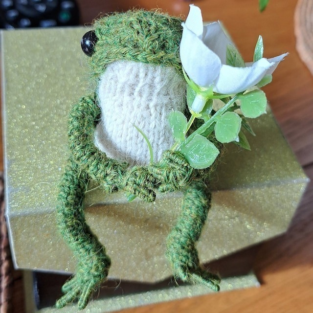 🐸HOT SALE🐸Cute knitted frog doll🥰