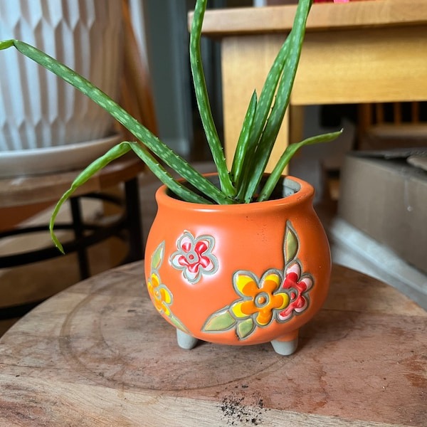 🔥Hot Sale--Exquisite Plant Pots🍀