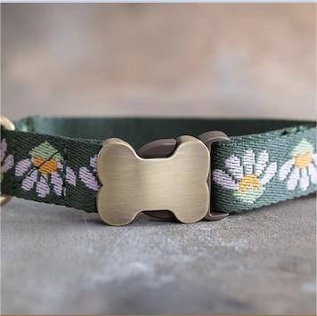 🐕Personalized Puppy Collar