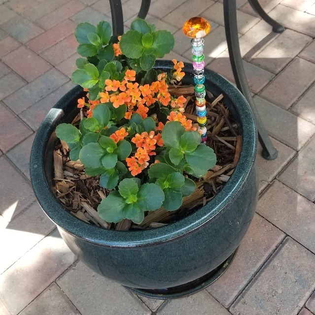 💎NEW Suncatcher Plant🌈Garden Fairy Wand Decoration🌷