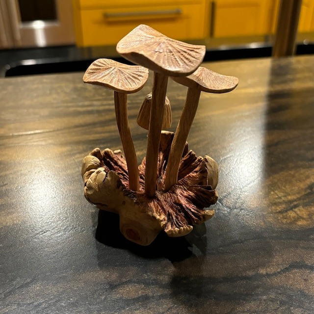 🍄Wooden Mushroom Decoration